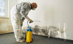 Deer Park, NY Mold Inspection Company